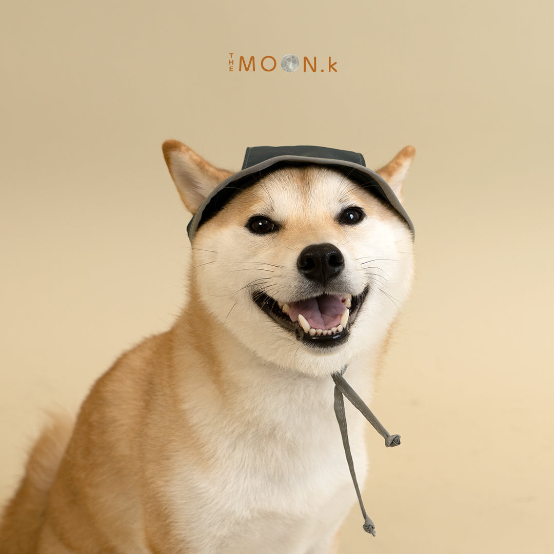 Pet Bucket Hat