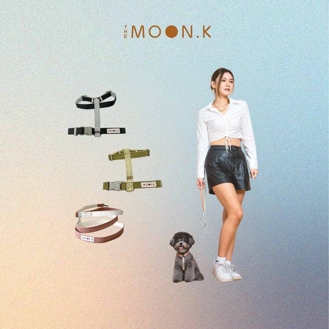 Pet Leash & Harness Bundle