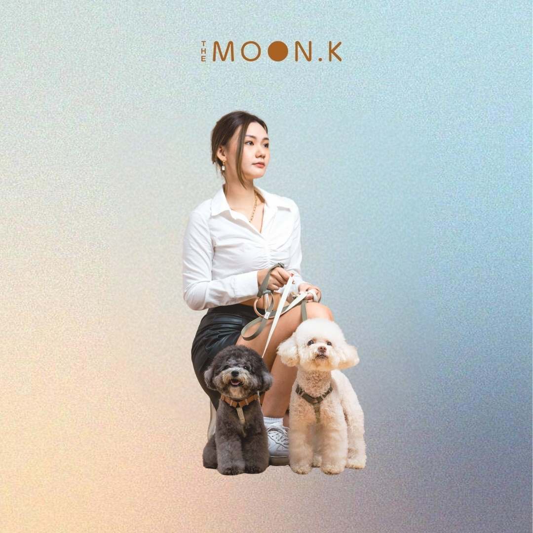 Pet Leash & Harness Bundle