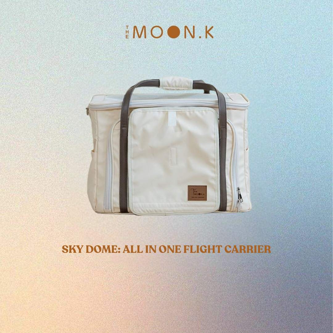 SkyDome Flight Carrier