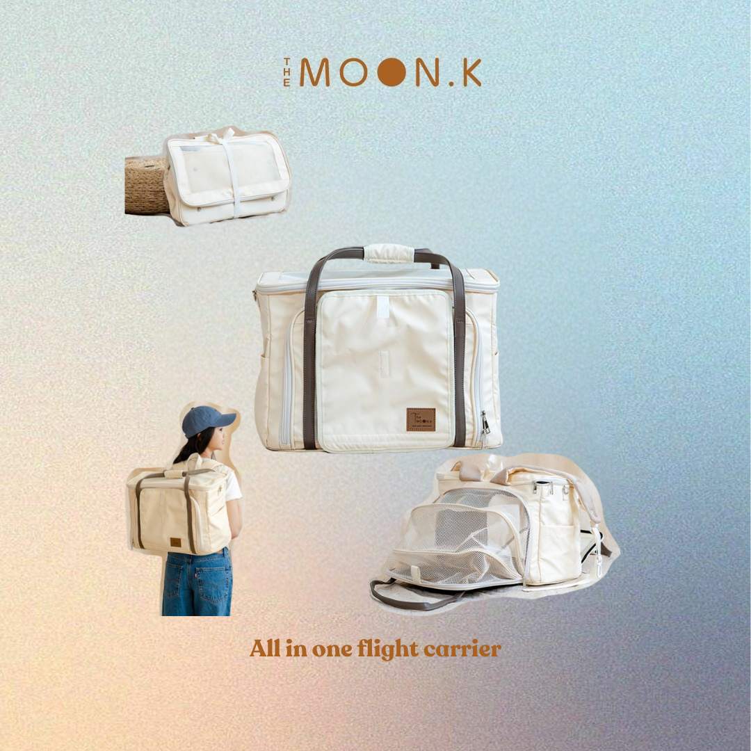 SkyDome Flight Carrier