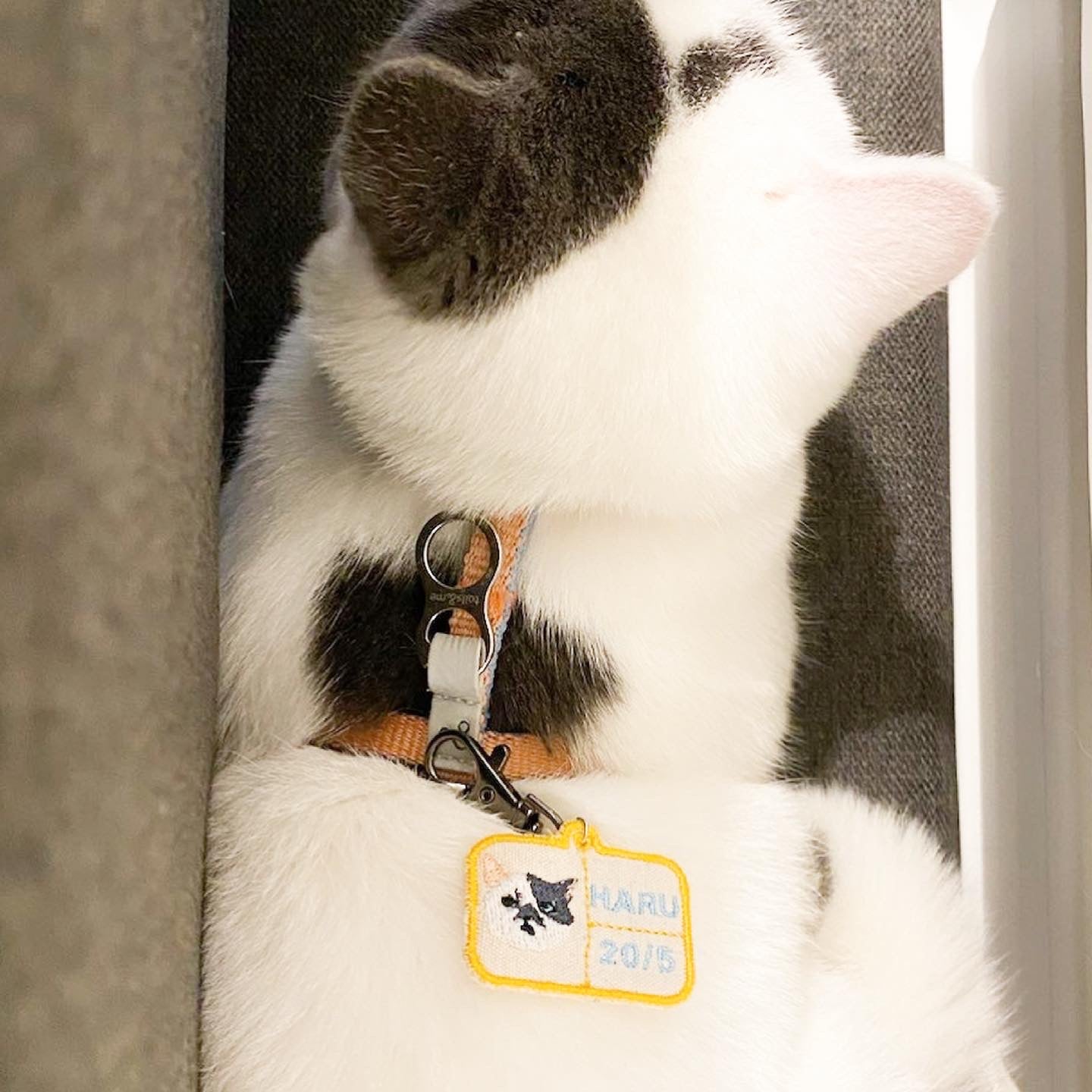 Embroidery Pet Name Tag