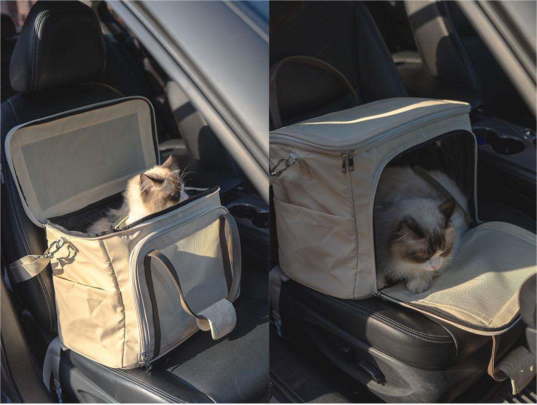 SkyDome Flight Carrier