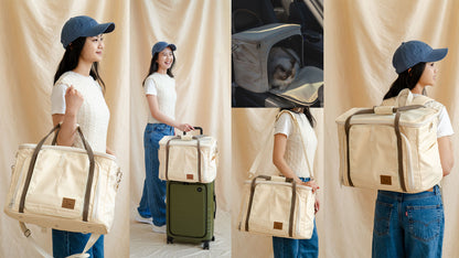 SkyDome Flight Carrier